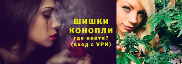 тгк Инта