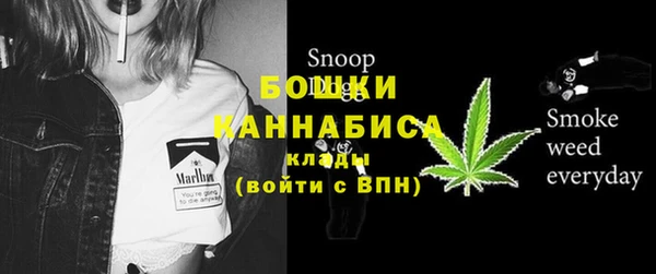 тгк Инта