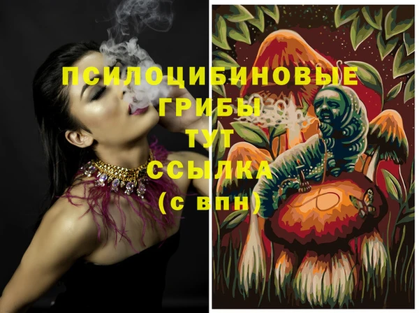 круглые Иннополис